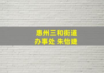 惠州三和街道办事处 朱怡婕